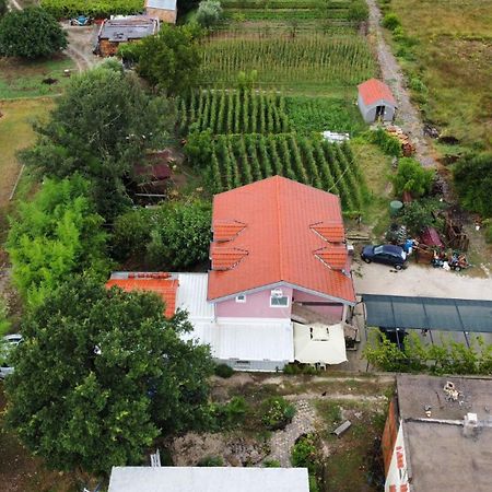 Apartman Balsa Κότορ Εξωτερικό φωτογραφία