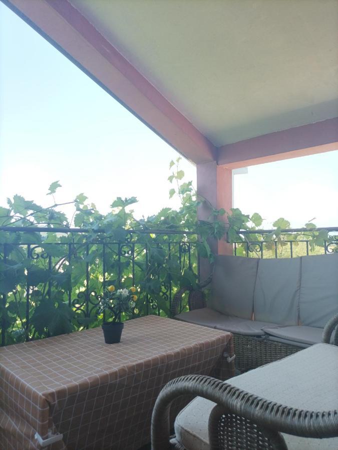 Apartman Balsa Κότορ Εξωτερικό φωτογραφία