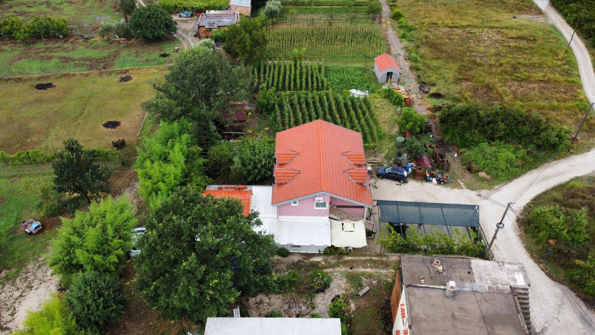 Apartman Balsa Κότορ Εξωτερικό φωτογραφία